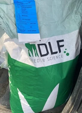 Идеальный газон на Юге России: как выбрать семена и создать ландшафт мечты с «Благоюг»