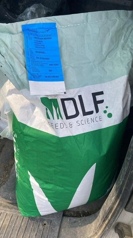 Идеальный газон на Юге России: как выбрать семена и создать ландшафт мечты с «Благоюг»