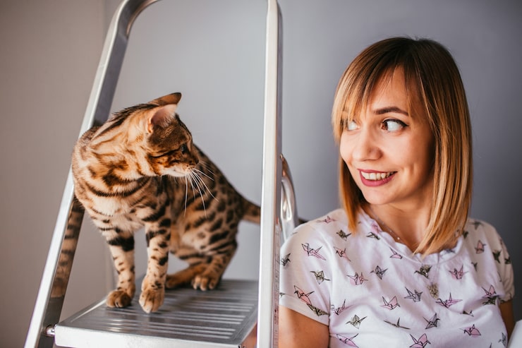 Почему кот ходит за мной по пятам