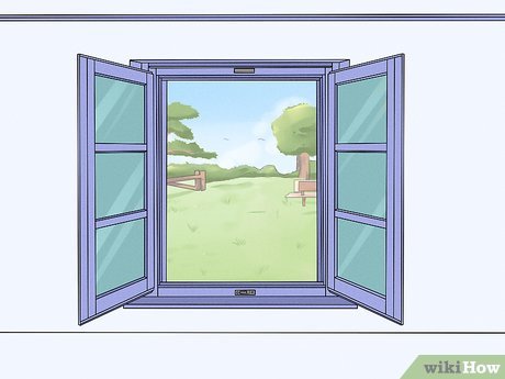Step 3 Раскройте окна.